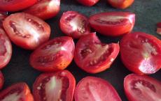 Вяленые томаты в масле с итальянскими травами на зиму Вяленые помидоры вкуснее итальянских